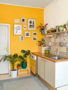 a kitchen with yellow walls and potted plants