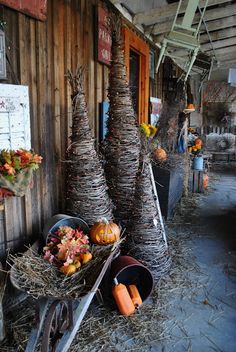 pumpkins and gourds on display in front of an old wooden building with hay