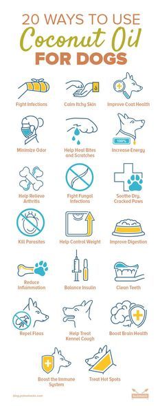 a poster with the words 20 ways to use coconut oil for dogs in blue and yellow