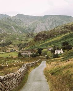 an empty road in the mountains with sheep grazing on the grass and trees around it