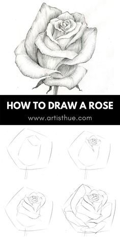 how to draw a rose step by step instructions for beginners and advanced drawing students