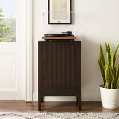 a room with a potted plant and a record player on top of the cabinet