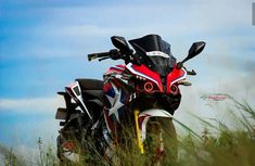 a red and black motorcycle parked in tall grass