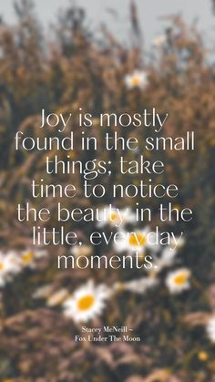 the quote joy is mostly found in the small things take time to notice the beauty in the little every day moments