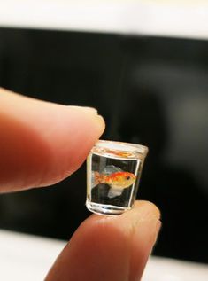 a tiny goldfish in a small square glass container being held by someone's finger