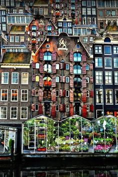 many windows and balconies on the side of a building with plants growing out of them