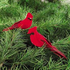 2 red cardinal bird clips on an evergreen branch. Baseball Christmas, Bird Christmas Ornaments, Fir Christmas Tree, Holiday Greenery, Christmas Runner, Cardinal Birds, Bird Ornaments, Christmas Ornament Sets, Christmas Decorations Ornaments