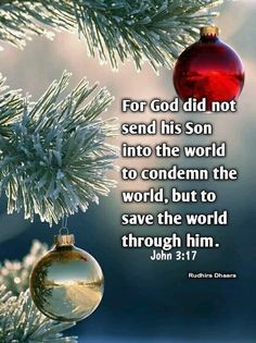 a christmas ornament hanging from a tree with the words for god did not send his