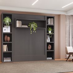 a living room scene with focus on the bookshelf and plants in the corner