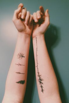 two people with matching tattoos on their arms