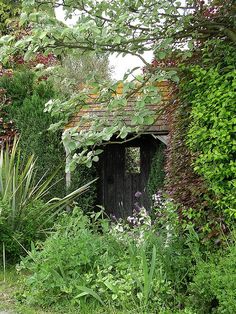 an outhouse surrounded by greenery and trees