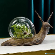 a snail is sitting on top of a table with some plants in it's shell