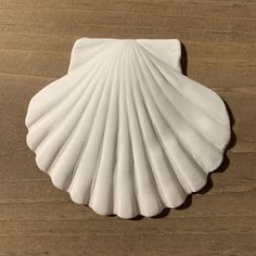 a white scallop shell sitting on top of a wooden table