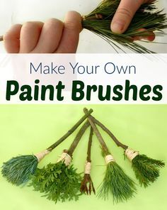 the hands are holding up some plants to make their own paintbrushes for painting