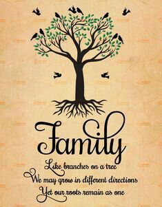 a family tree with birds flying around it and the words, like branches on a tree