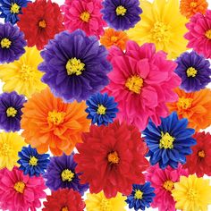 multicolored flowers are arranged in rows on a white background