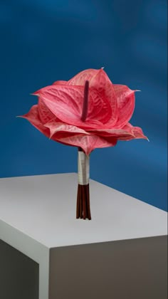 a pink flower on top of a white table