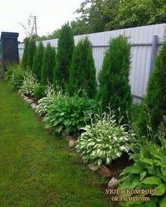 there are many different types of plants in this garden, and the grass is very green