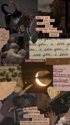 the collage has many different pictures and words on it, including one with a cat