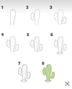 how to draw a cactus step by step instructions for kids and beginners in adobe