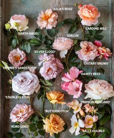 a bunch of flowers that are sitting on a wooden table with names in each language