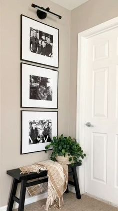 a black and white photo hangs on the wall next to a bench with a plant in it