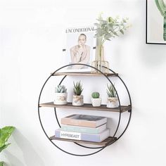 a round shelf with books and plants on it next to a plant potted cactus