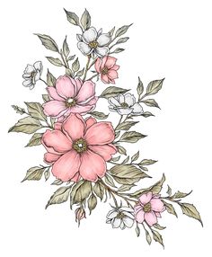 a drawing of pink flowers with green leaves