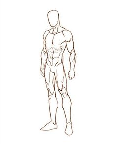 a drawing of a man's body and torso