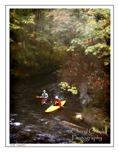 two people in canoes paddling down a river