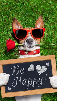 a dog wearing sunglasses and holding a sign that says be happy in front of it