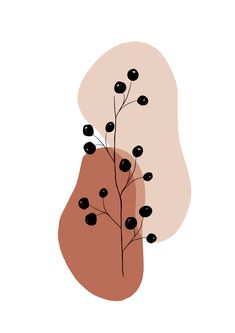 an illustration of a plant with black berries on it