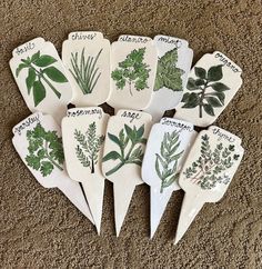 a bunch of plants that are on some kind of trays in the floor with words written on them