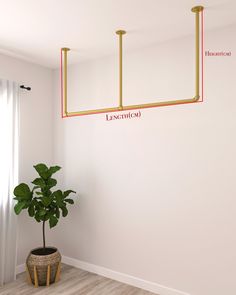 a potted plant sitting on top of a wooden floor next to a white wall