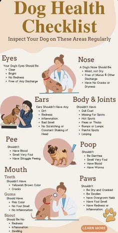 a poster showing the health benefits of dogs and how they are used to treat them