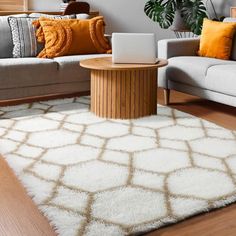 a living room filled with furniture and a white rug