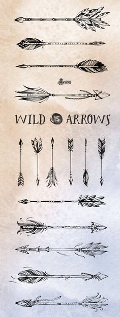 an image of some arrows and arrows on a piece of paper with the words wild arrows written