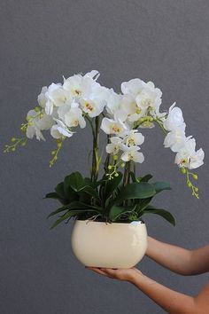 a woman holding a white potted plant with flowers in it's hands, against a gray background