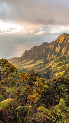 the mountains are covered in green vegetation and trees, as well as clouds above them