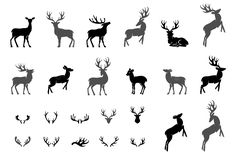 the silhouettes of deer and antlers are shown