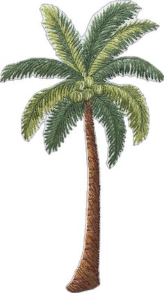 a drawing of a palm tree with green leaves on the top and bottom part of it