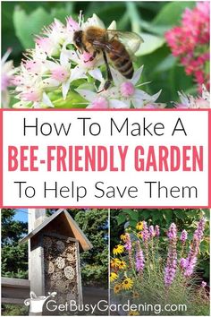 how to make a bee - friendly garden to help save them