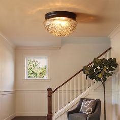 a living room with a chair and a plant in the corner under a light fixture