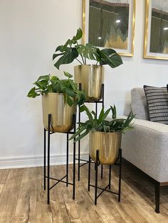 three metal plant stands with plants in them on the floor next to a gray couch