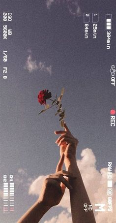 two hands reaching for a flower in the sky