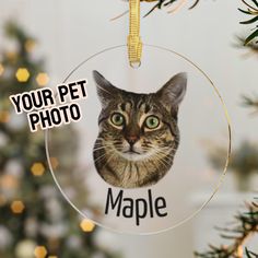 a glass ornament with a cat's face and the words your pet photo on it