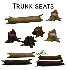 various types of trunk seats are shown in this image with the words trunk seats above them