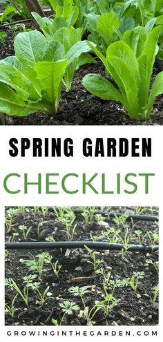 a garden with green plants and the words spring garden checklist