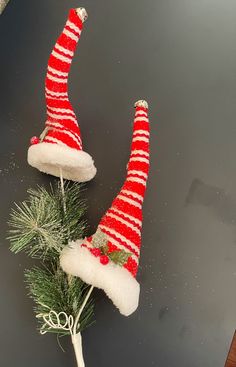 two red and white knitted christmas hats sitting on top of a pine tree branch