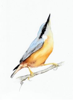 a watercolor painting of a bird sitting on a branch